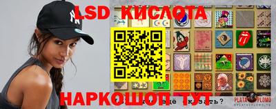 PSILOCYBIN Рыбинск