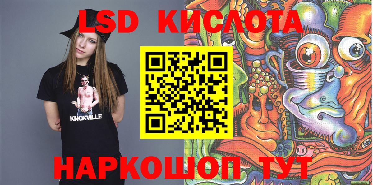 Псилоцибиновые грибы Нововоронеж