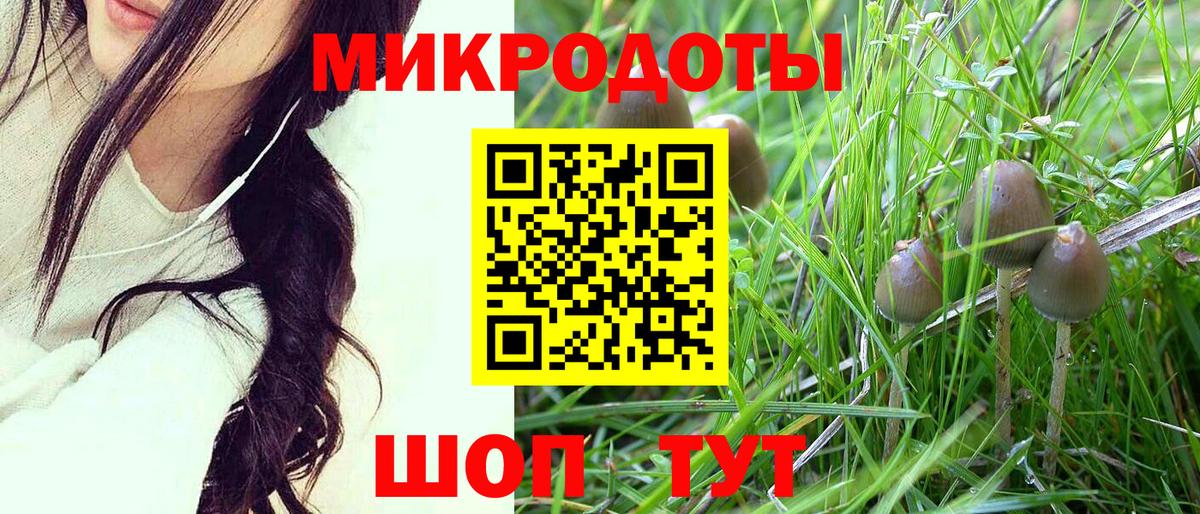 Псилоцибиновые грибы MAGIC MUSHROOMS Нововоронеж